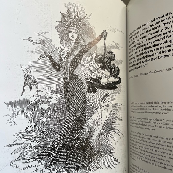 Fashion animals book - Picture 4 of 5